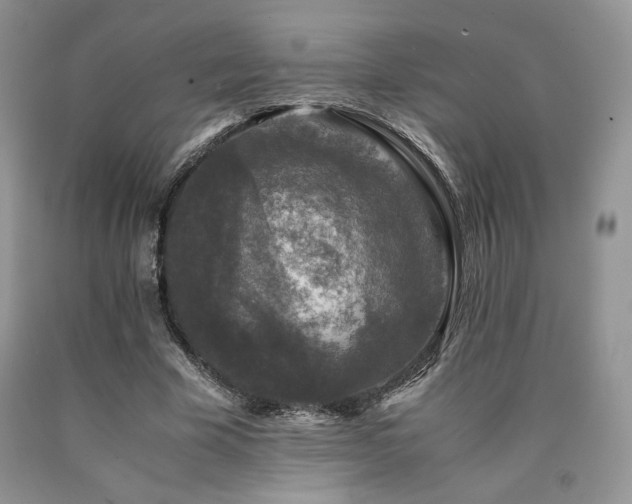 X0000090760585200707201505