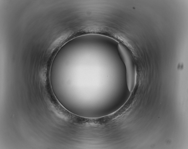 X0000090760586200707201505