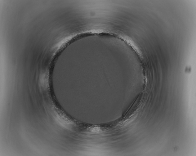 X0000090760588200707201505