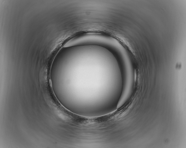 X0000090760589200707201505