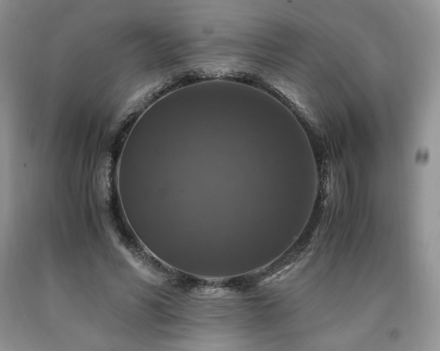 X0000090760590200707201505