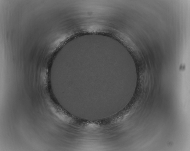 X0000090760592200707201505