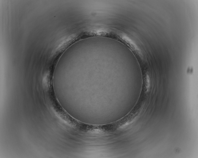 X0000090760594200707201505