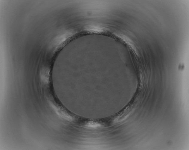 X0000090760596200707201505