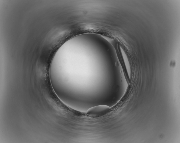 X0000090760597200707201505