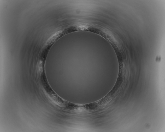 X0000090760598200707201505