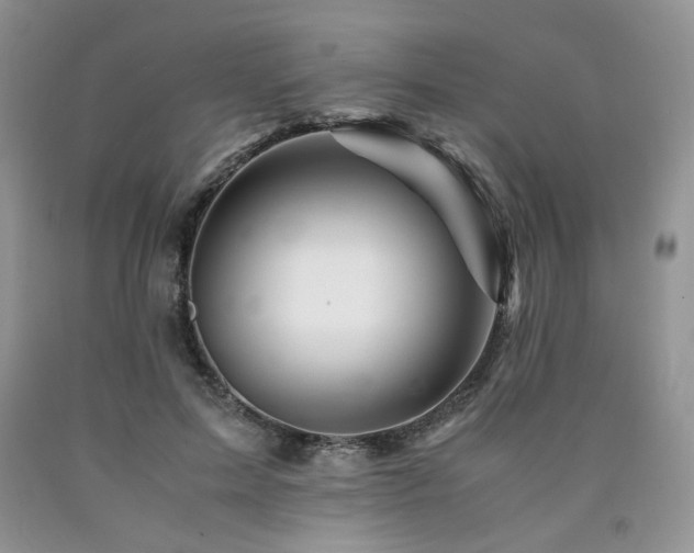 X0000090760599200707201505