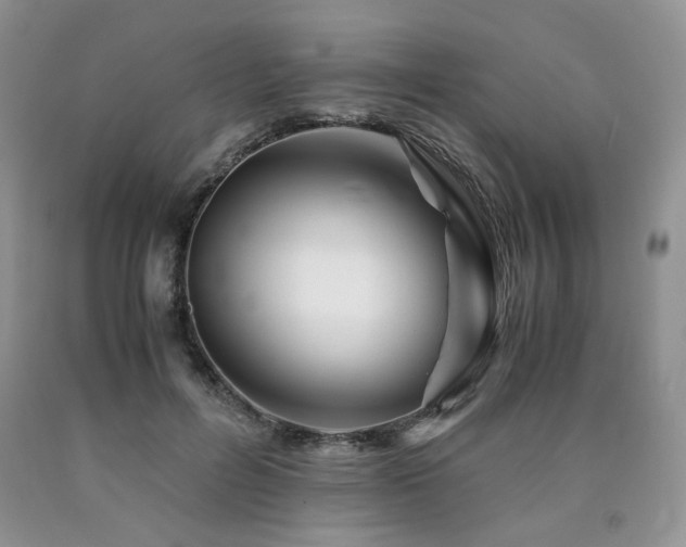 X0000090760600200707201505