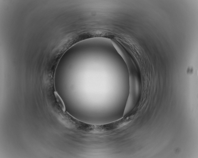 X0000090760601200707201505