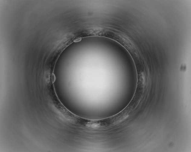 X0000090760602200707201505