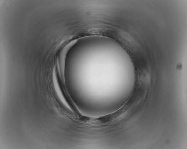 X0000090760603200707201505