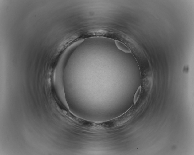 X0000090760604200707201505