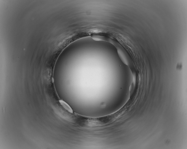 X0000090760605200707201505