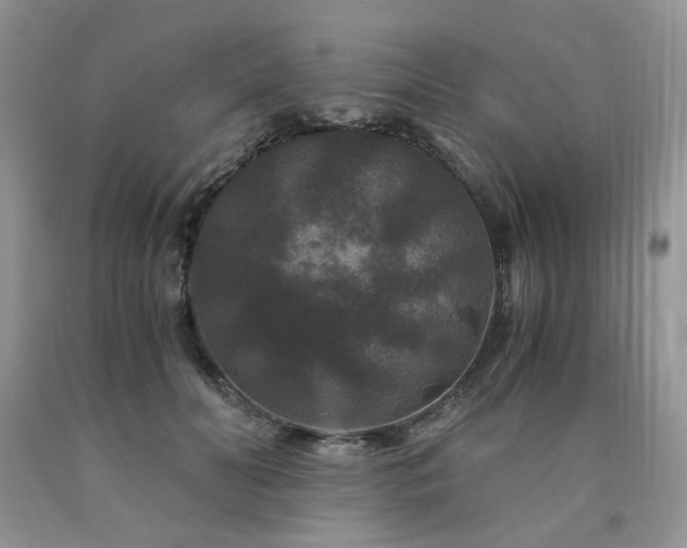 X0000090760606200707201505