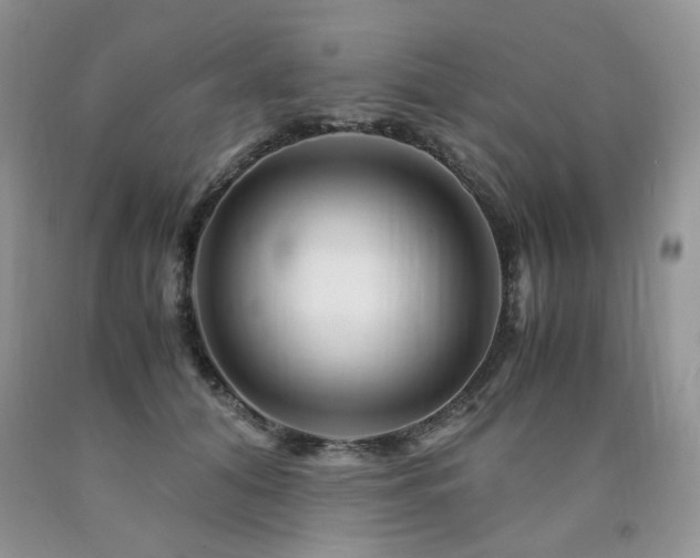 X0000090760608200707201505