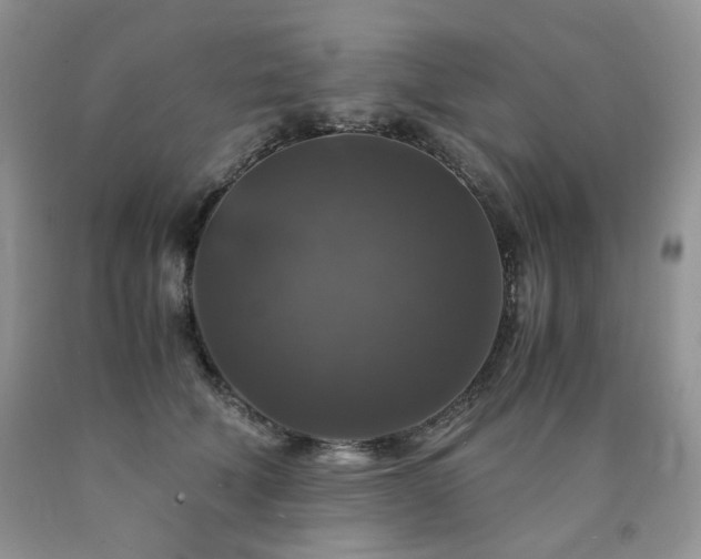 X0000090760610200707201505