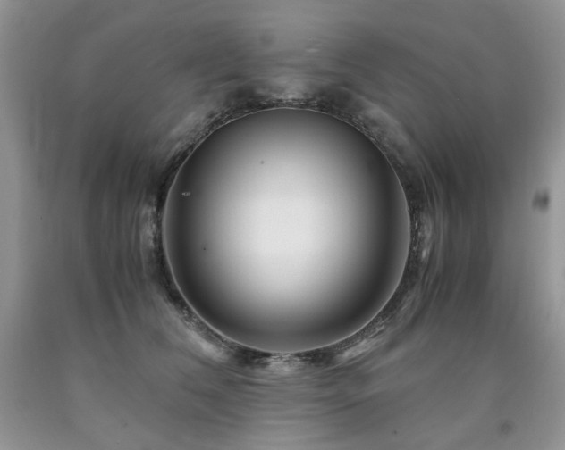 X0000090760612200707201505