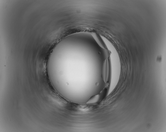 X0000090760613200707201505