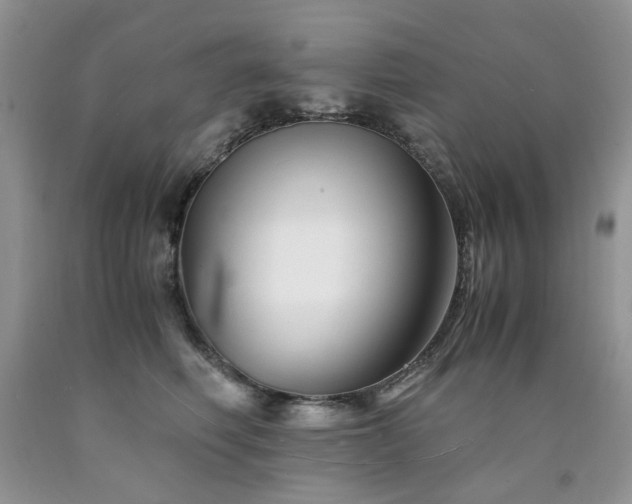 X0000090760614200707201504