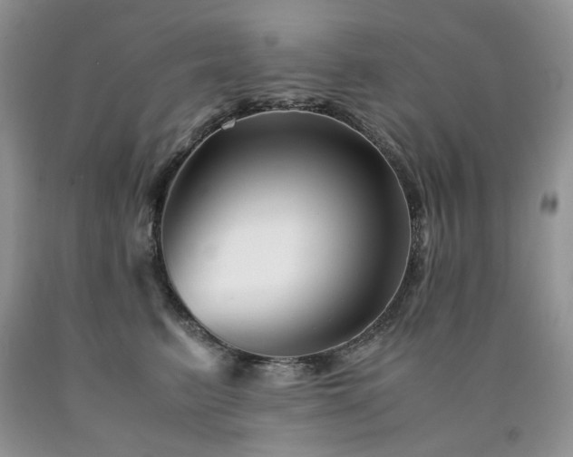 X0000090760615200707201504