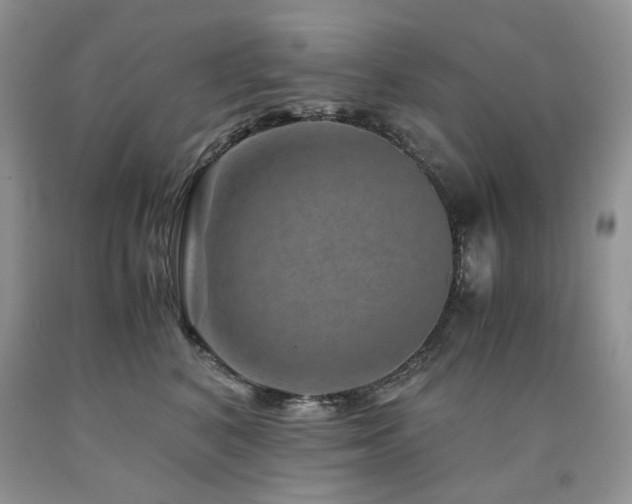 X0000090760616200707201504