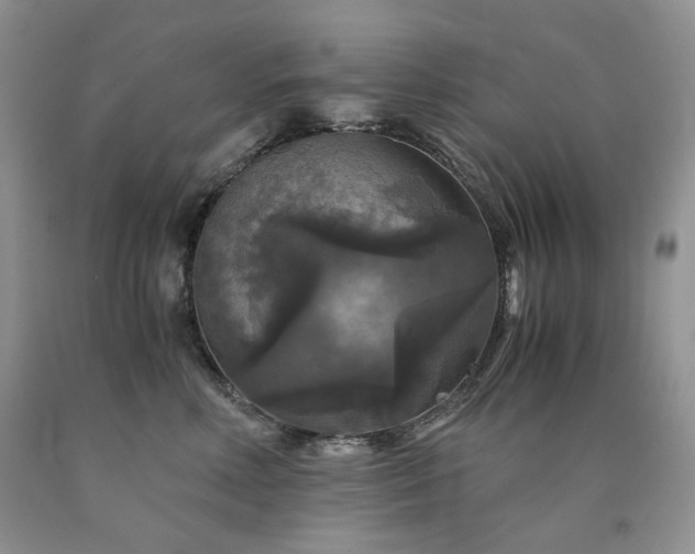 X0000090760618200707201504