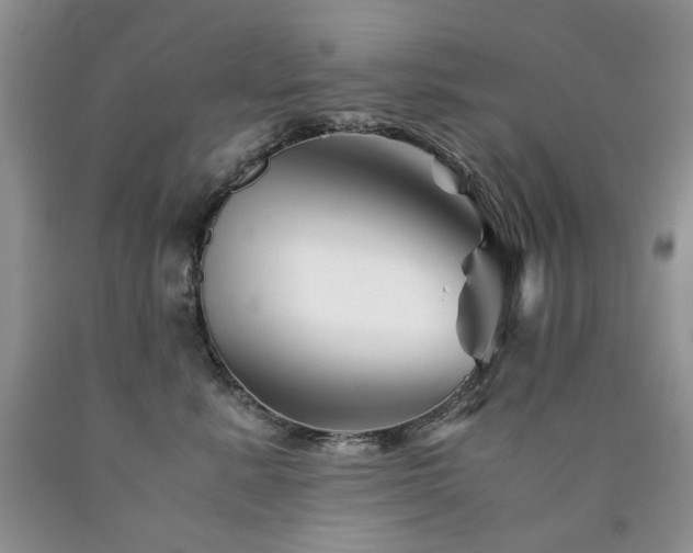 X0000090760619200707201504