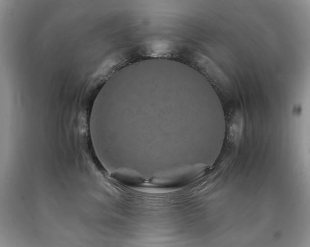 X0000090760620200707201504