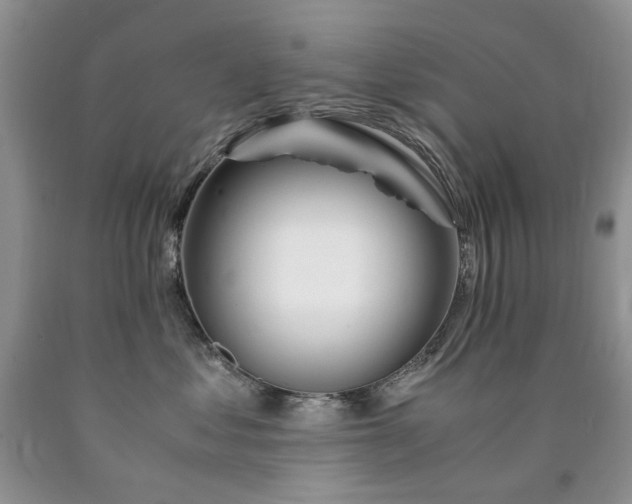 X0000090760621200707201504