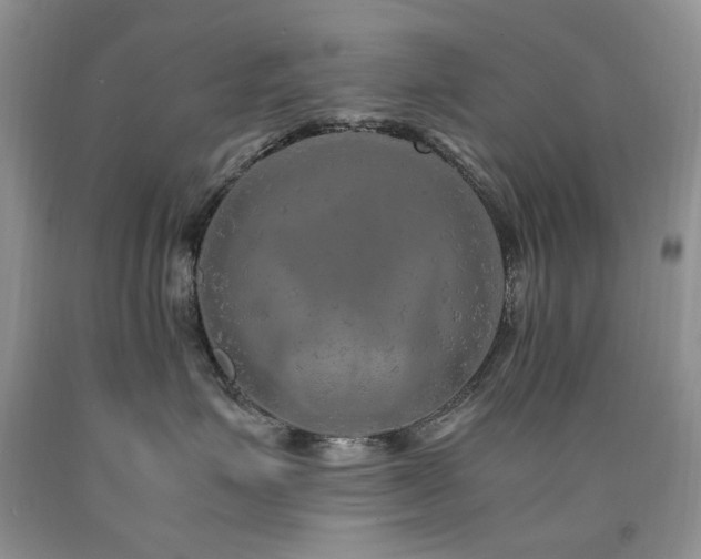 X0000090760623200707201504