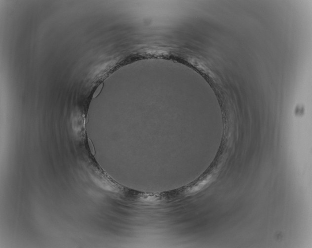 X0000090760624200707201504