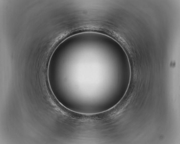 X0000090760625200707201504