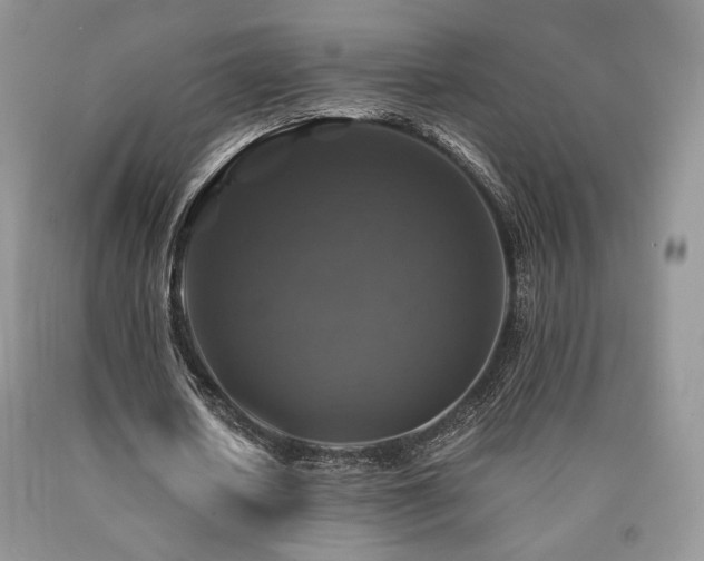 X0000090760626200707201504