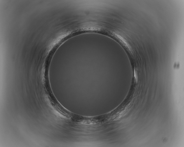 X0000090760627200707201504