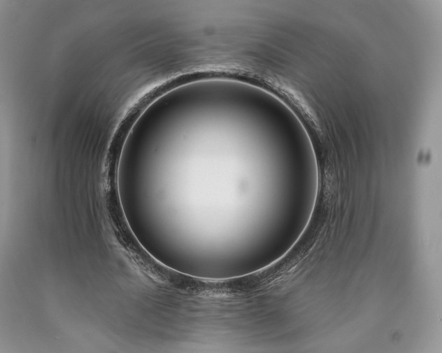 X0000090760628200707201504