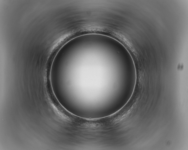 X0000090760629200707201504