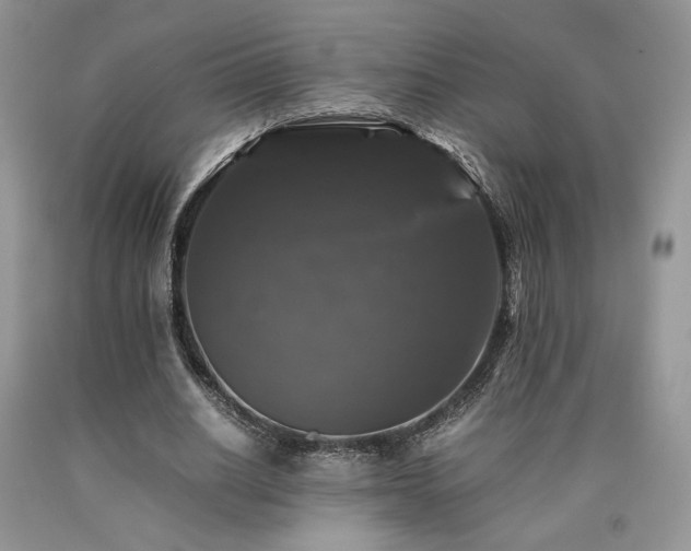 X0000090760630200707201504