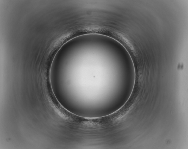 X0000090760633200707201504