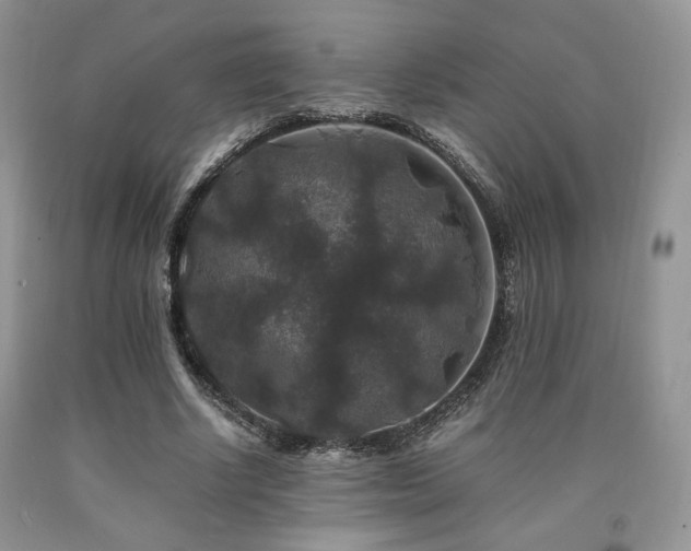 X0000090760634200707201504