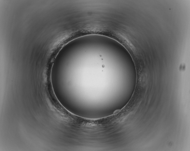 X0000090760635200707201504