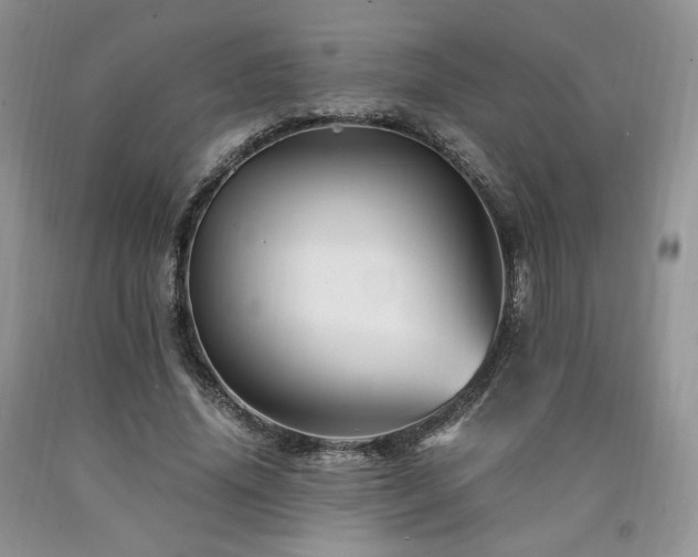 X0000090760636200707201504