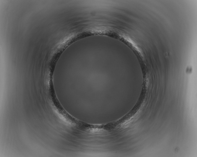 X0000090760637200707201504