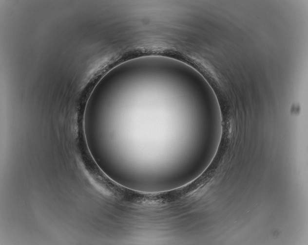 X0000090760638200707201504