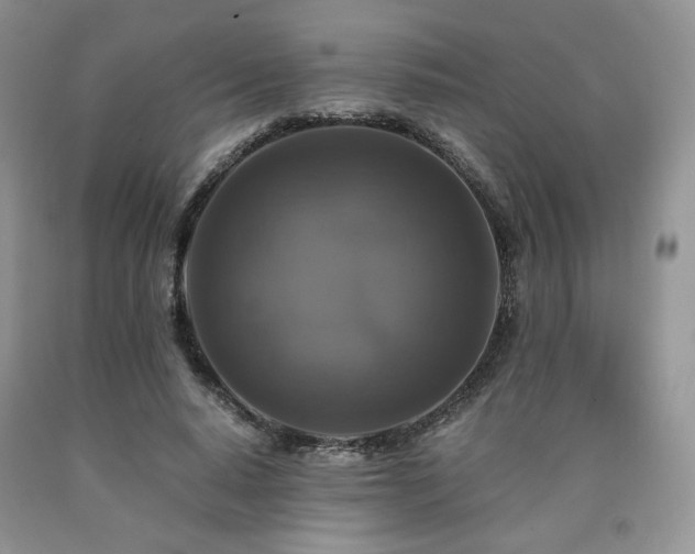 X0000090760640200707201504