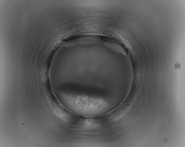 X0000090760641200707201504