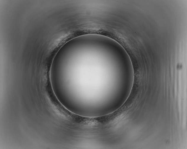 X0000090760642200707201504