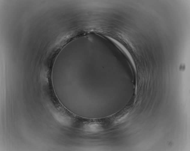 X0000090760643200707201504