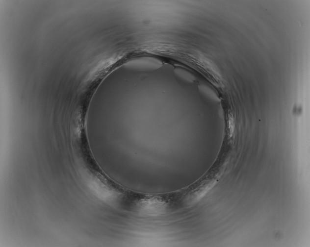 X0000090760644200707201504