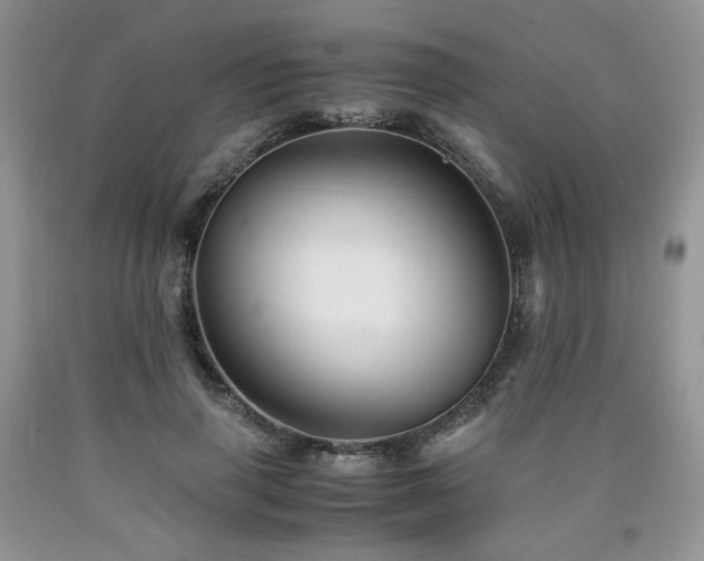 X0000090760645200707201504