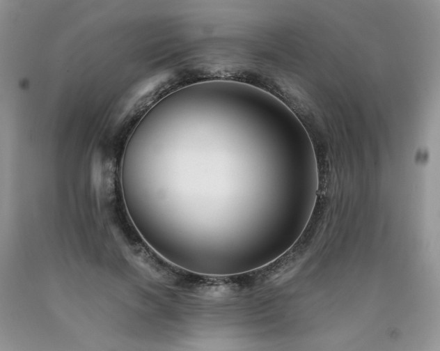 X0000090760646200707201504